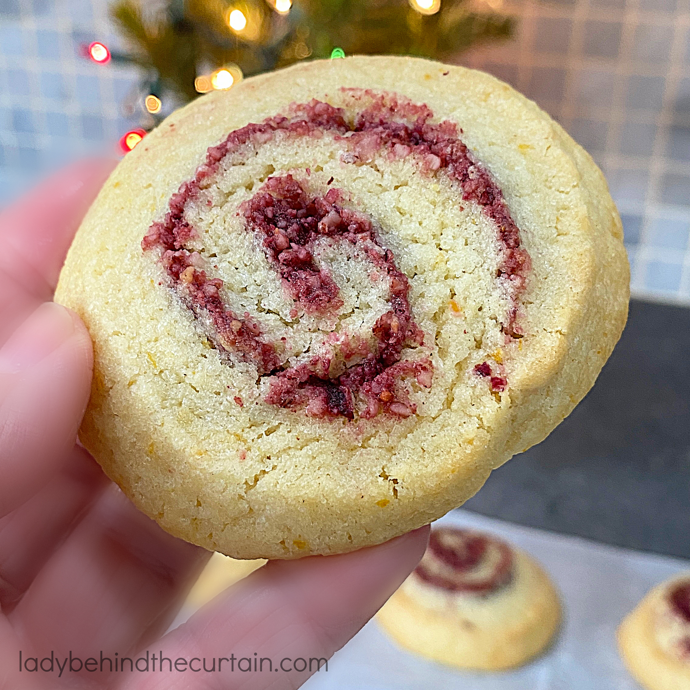 Cranberry Orange Pinwheel Cookies