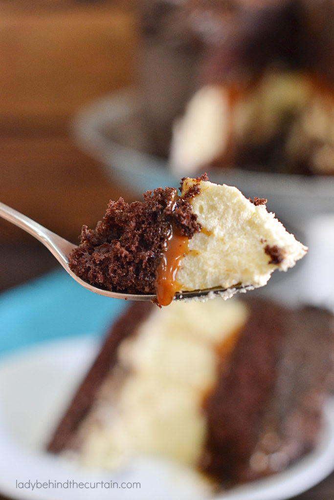 Devil's Food Cake with a Cheesecake Center