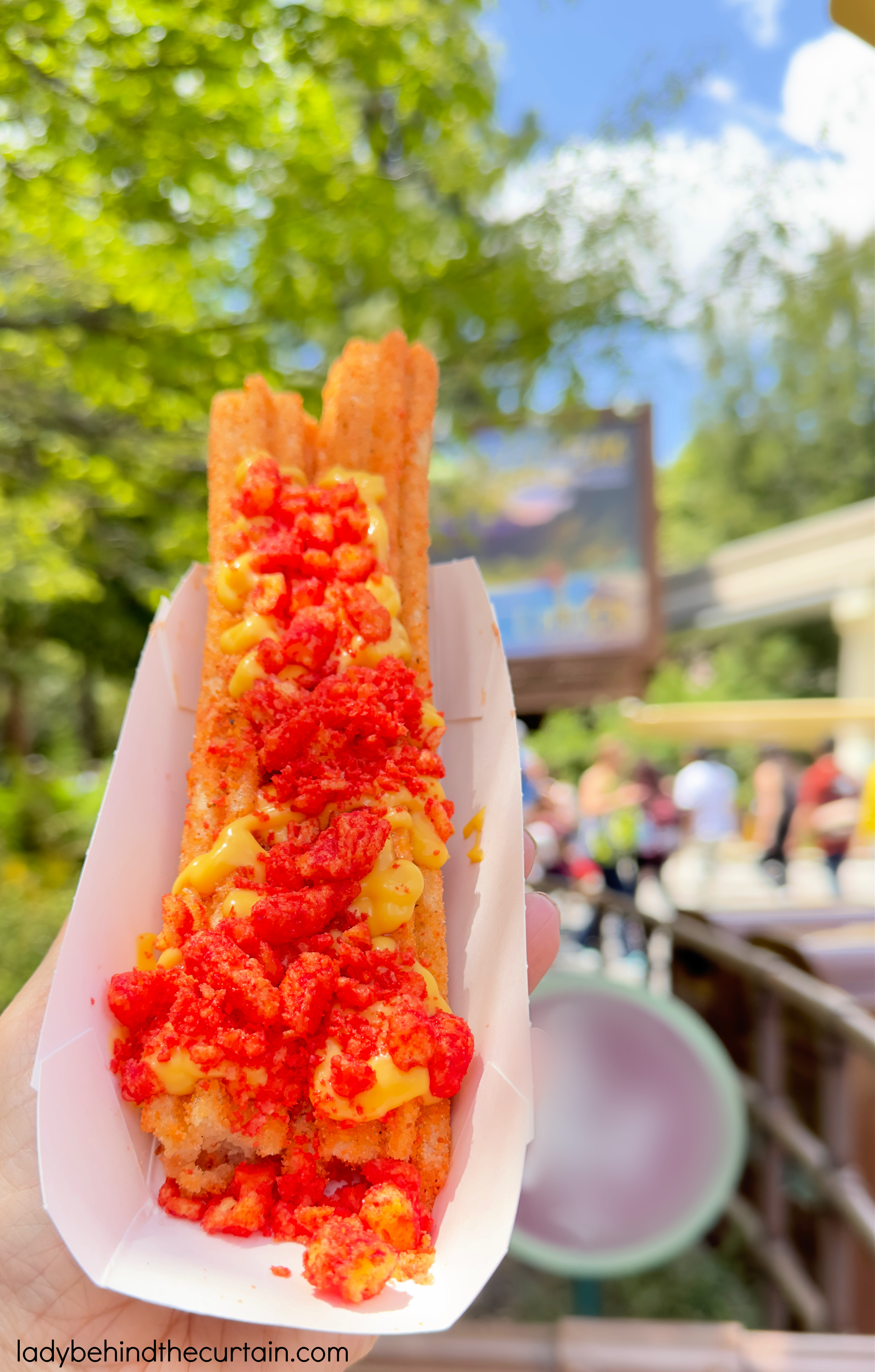 8 Disneyland Copycat Churro Recipes