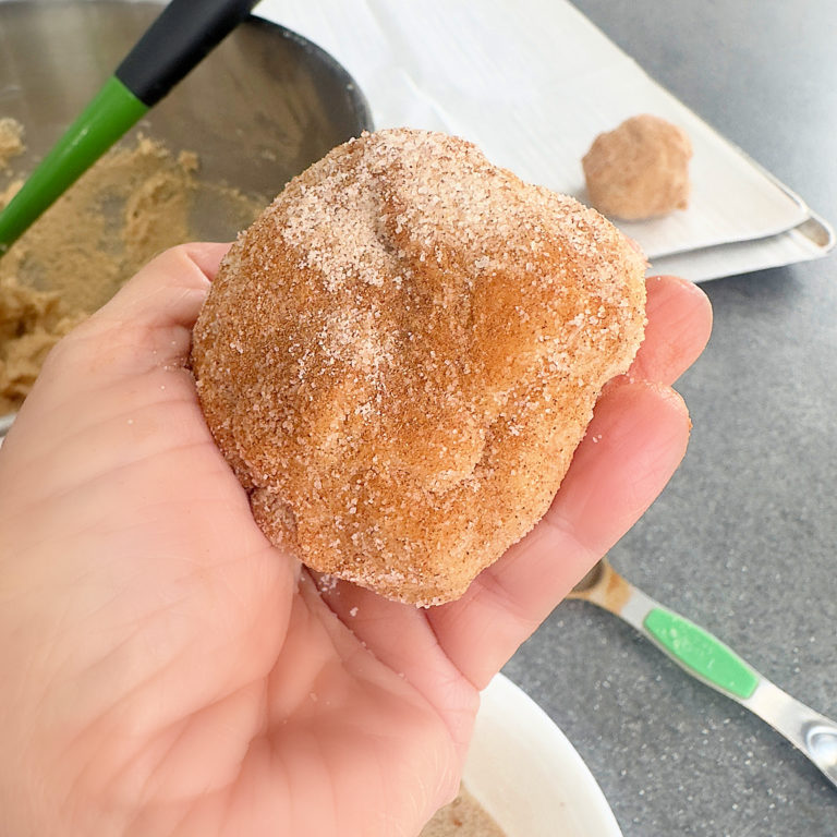 Large Gourmet Snickerdoodle Cookies