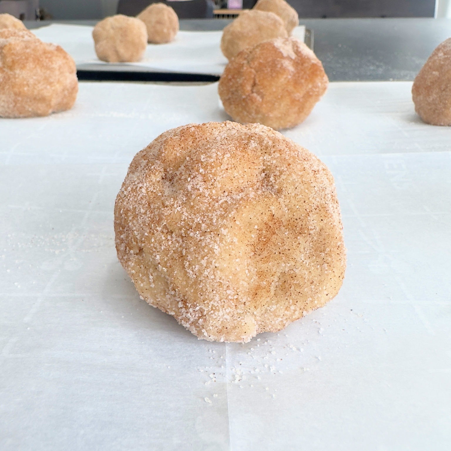 Large Gourmet Snickerdoodle Cookies