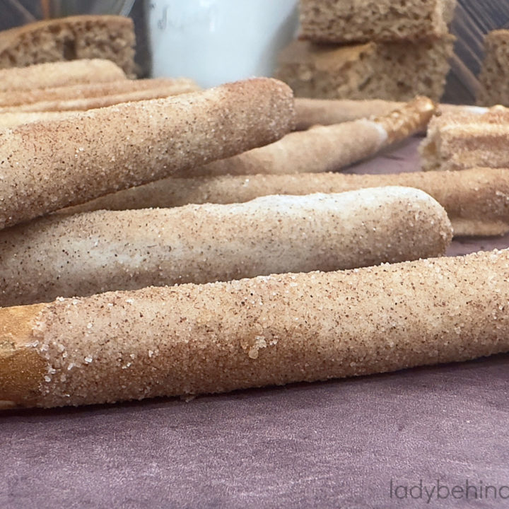 Churro Pretzels