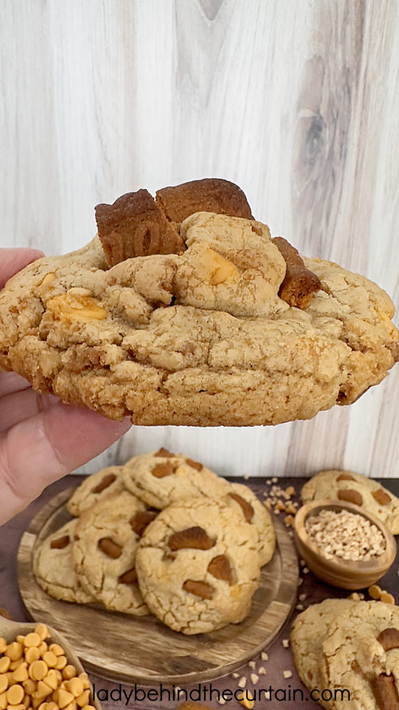 Gourmet Thick Cookie Butter Cookies