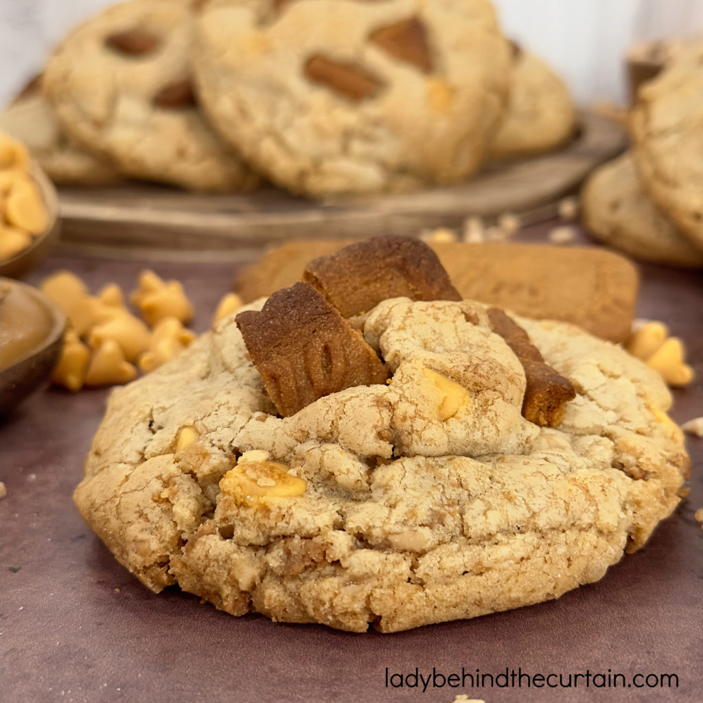 Gourmet Thick Cookie Butter Cookies