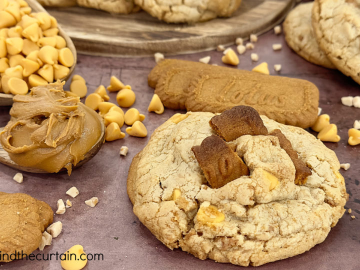 Gourmet Thick Cookie Butter Cookies