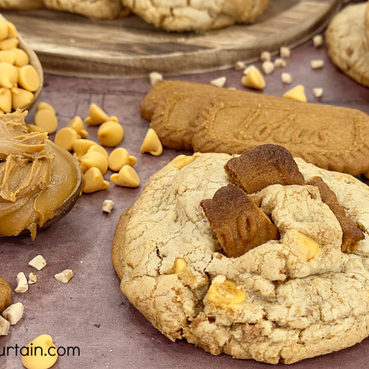 Gourmet Thick Cookie Butter Cookies