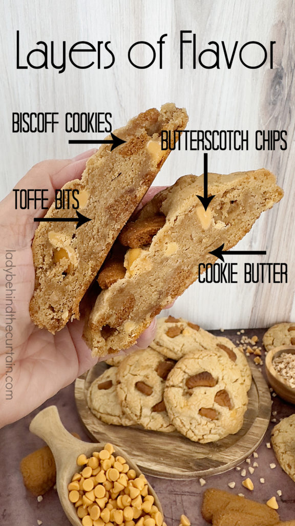 Gourmet Thick Cookie Butter Cookies