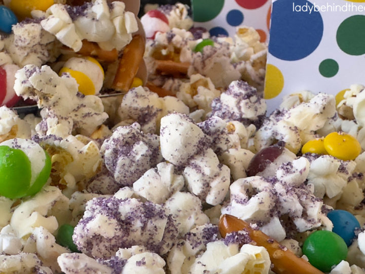 Copycat Disneyland Mixed Emotions Popcorn