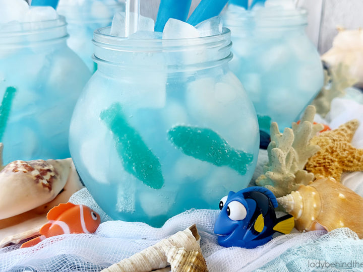 Berry Lemonade Ocean Water Punch