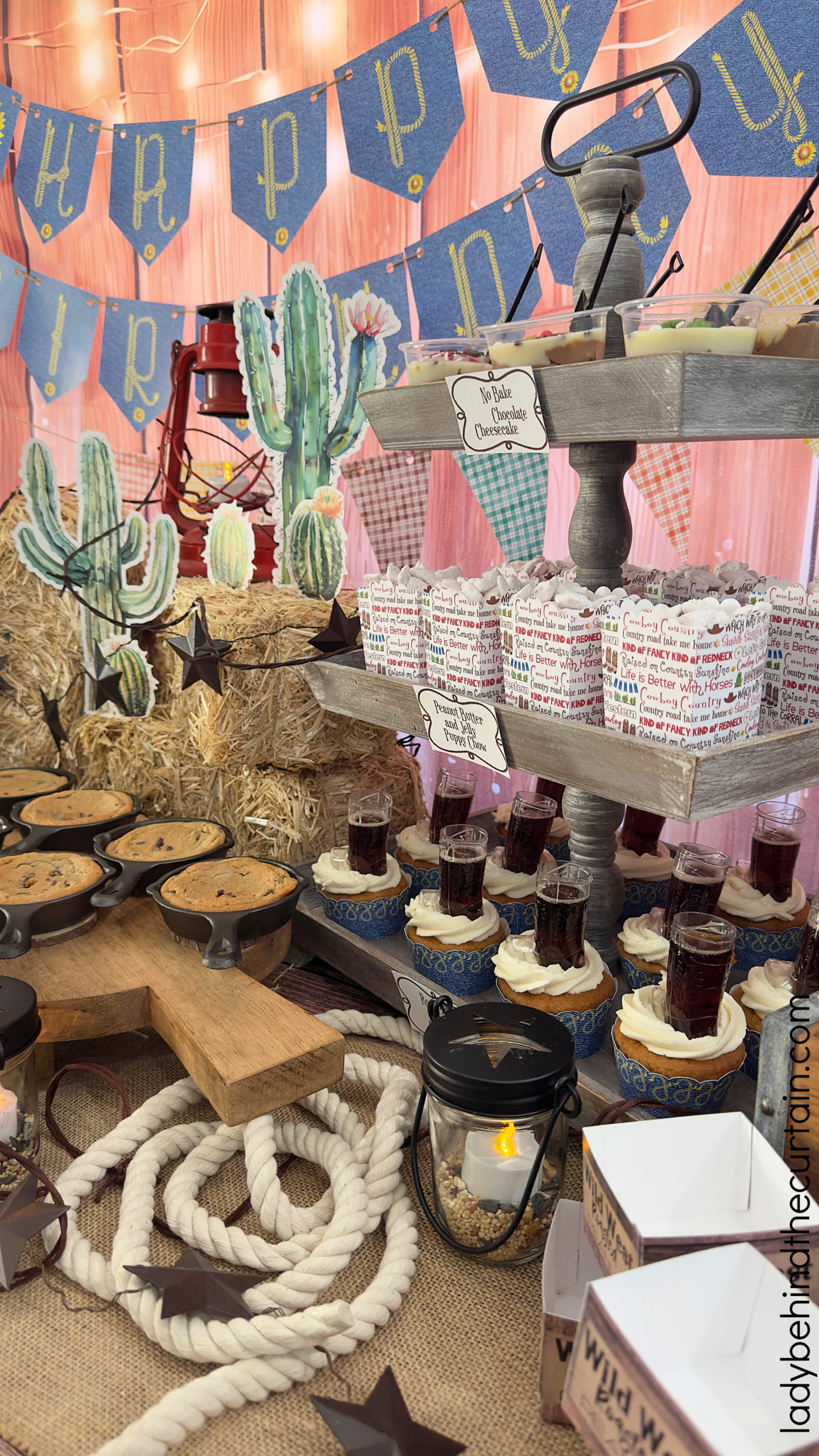 Western Themed Birthday Party Ideas + Video