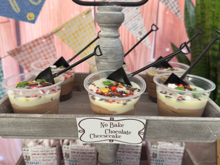Mini No Bake Chocolate Cheesecakes