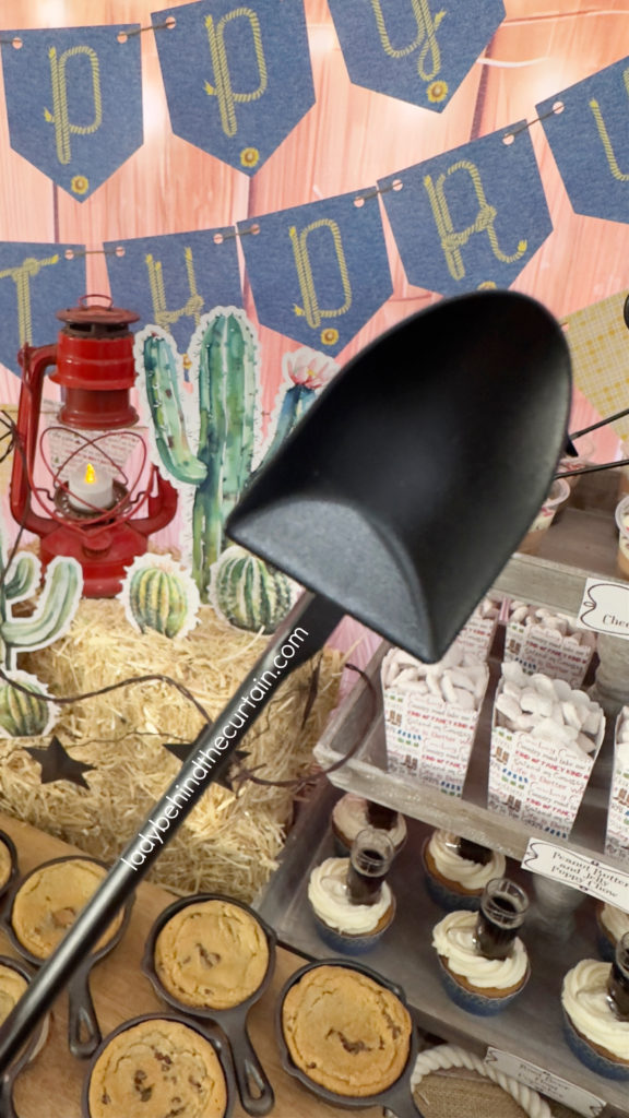 Western Themed Birthday Party Ideas
