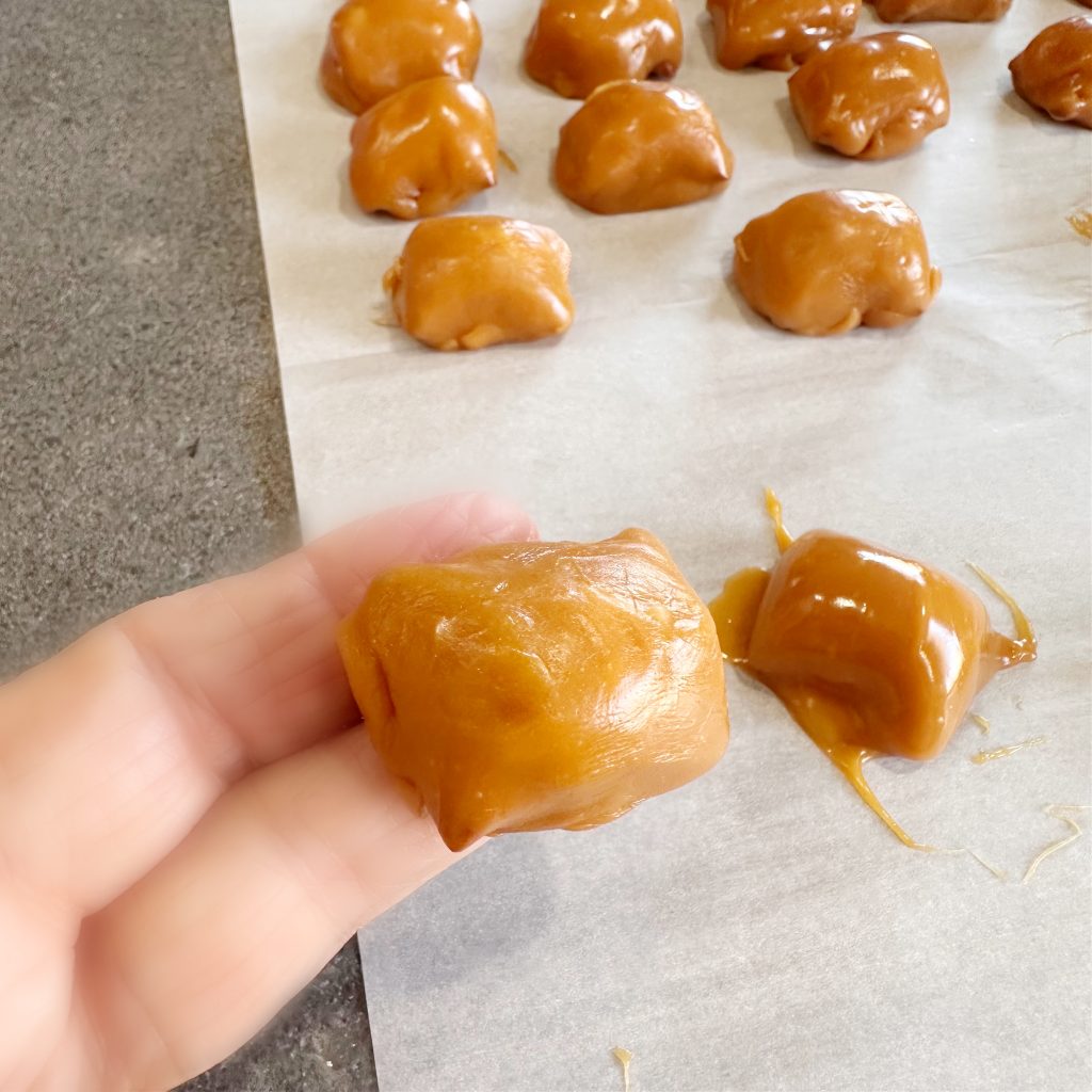 Peanut Butter Pretzel Caramel Candy Bar Bites Dipped in Milk Chocolate