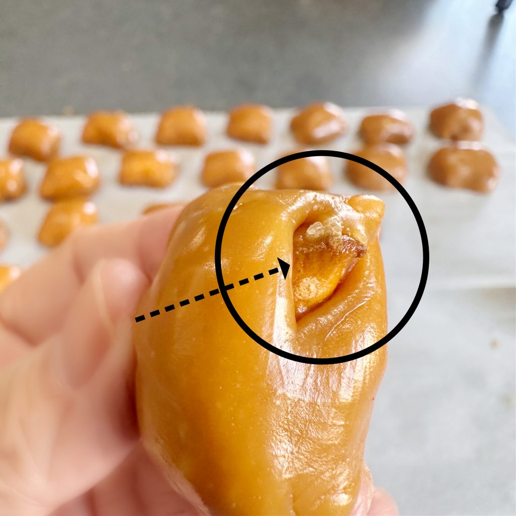 Peanut Butter Pretzel Caramel Candy Bar Bites Dipped in Milk Chocolate