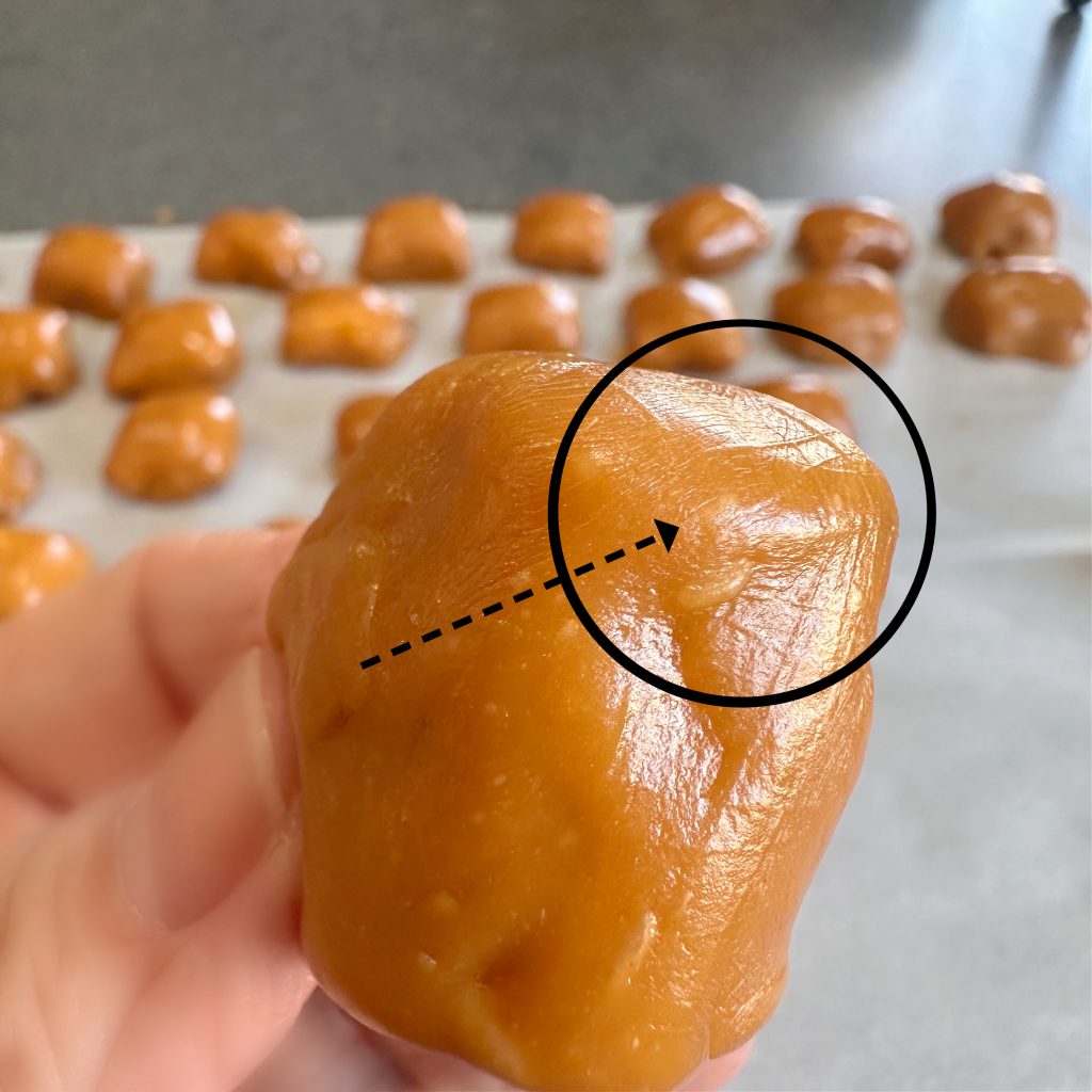 Peanut Butter Pretzel Caramel Candy Bar Bites Dipped in Milk Chocolate
