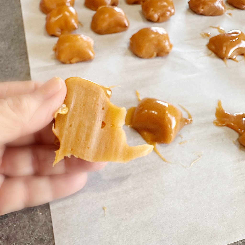 Peanut Butter Pretzel Caramel Candy Bar Bites Dipped in Milk Chocolate