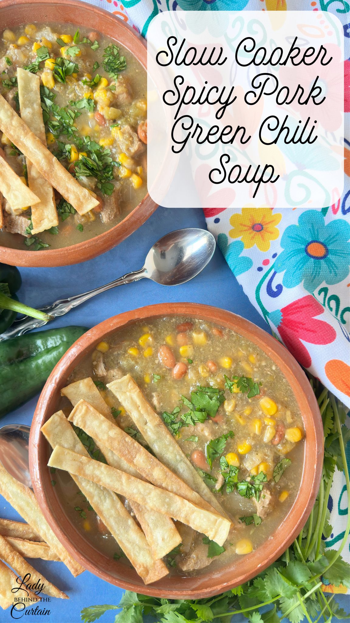 Slow-Cooker Spicy Pork Green Chili Soup
