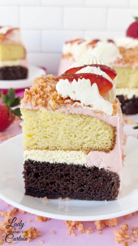 Neapolitan Sheet Cake