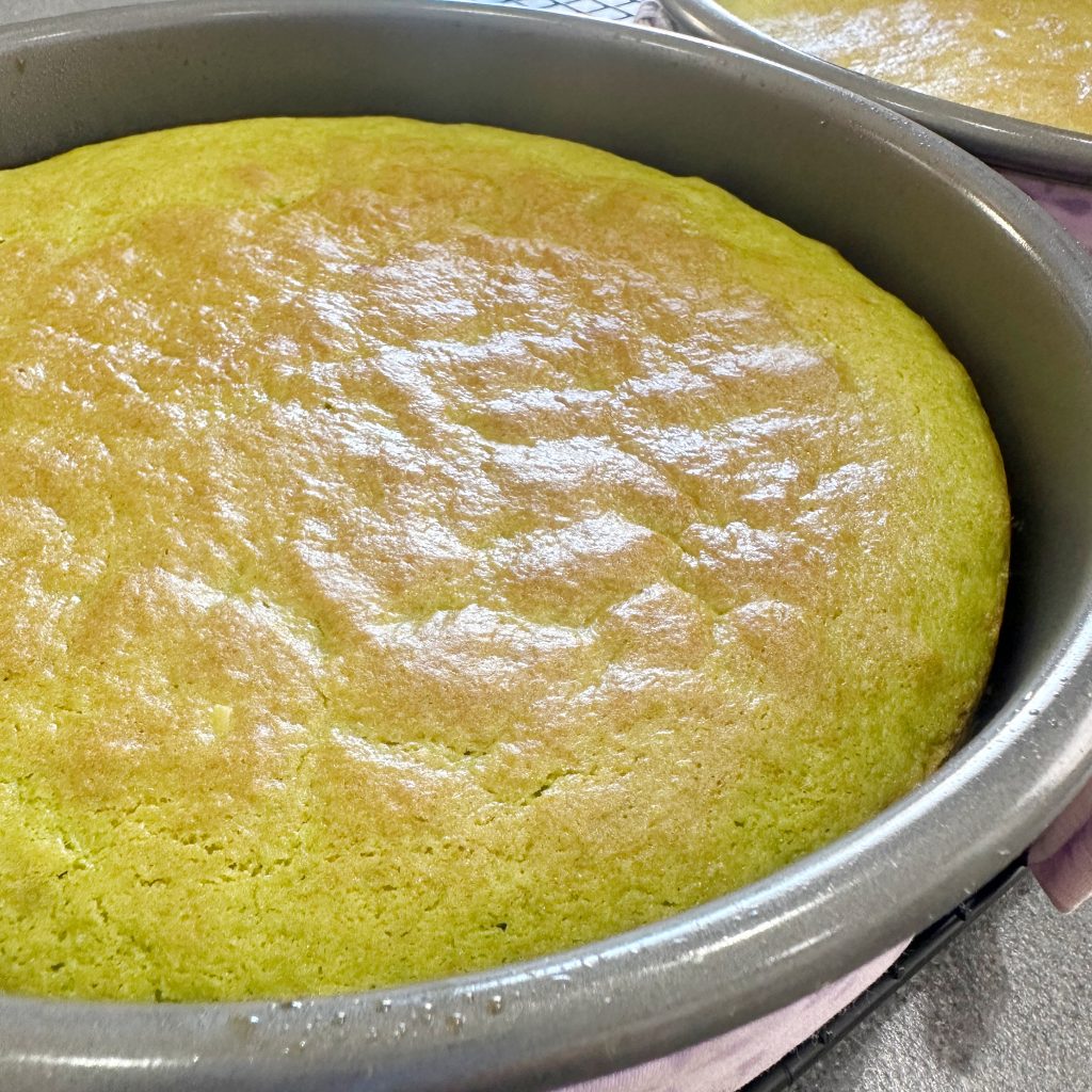 Homemade Pistachio Ice Cream Cake
