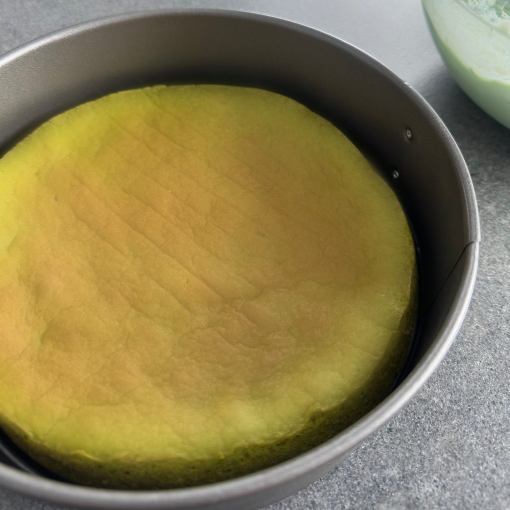 Homemade Pistachio Ice Cream Cake