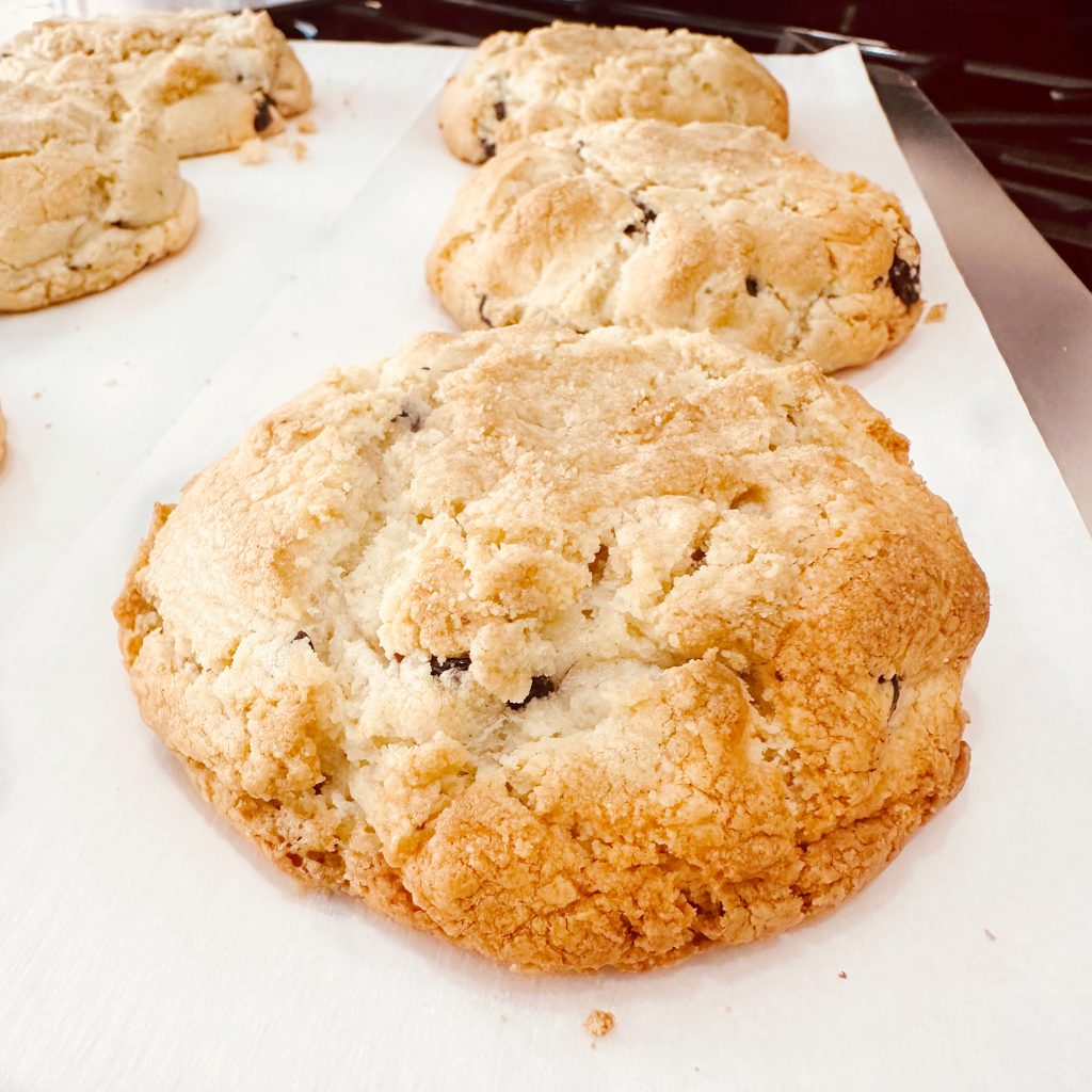 Large Gourmet Blueberry Muffin Cookies