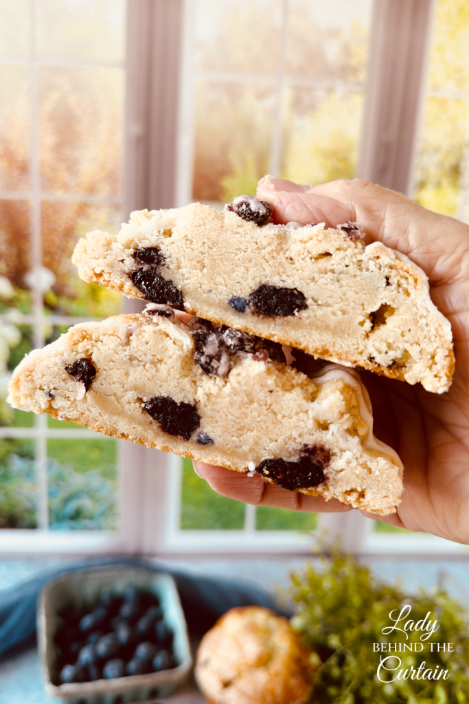 Large Gourmet Blueberry Muffin Cookies