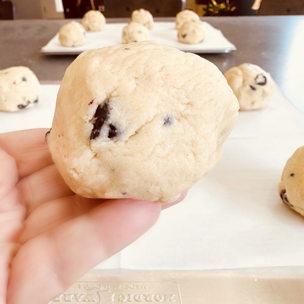 Large Gourmet Blueberry Muffin Cookies