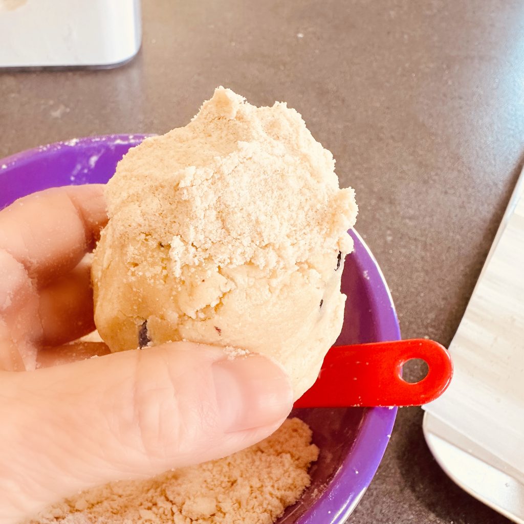 Large Gourmet Blueberry Muffin Cookies